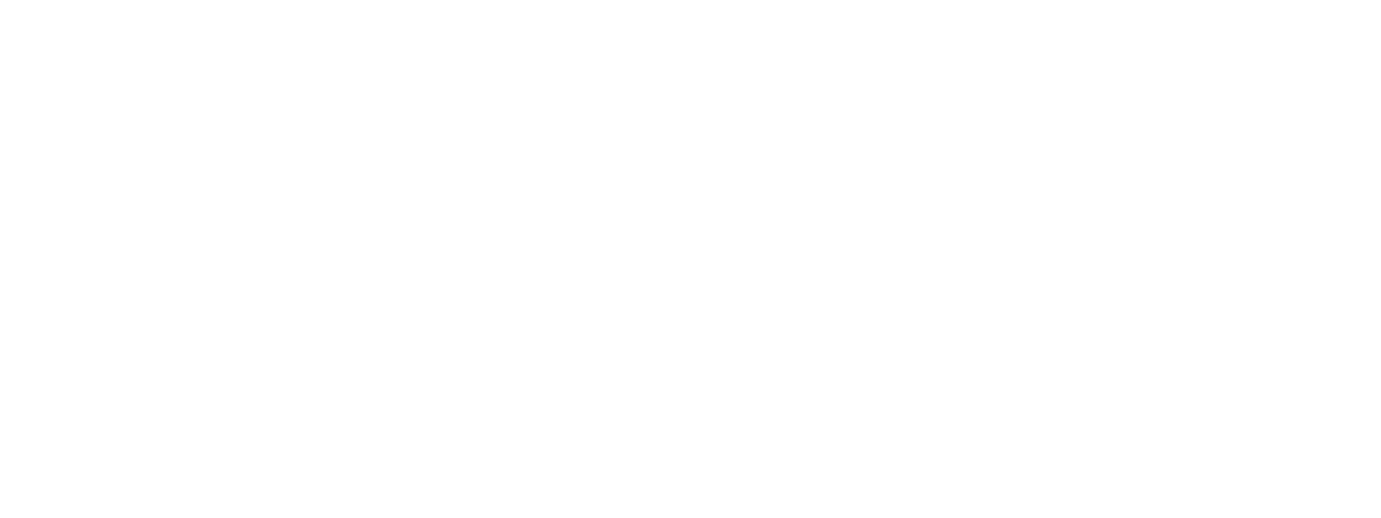 Transavia Netherlands