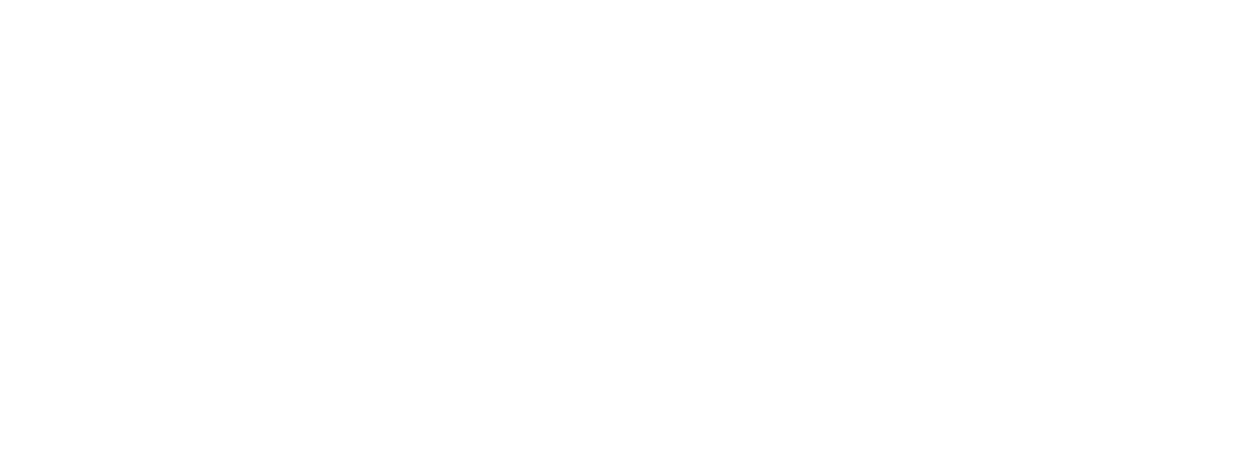TUI Airline